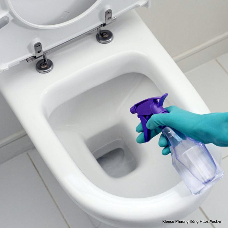 Top 50 mẫu nhà vệ sinh có mùi khai đẹp nhất