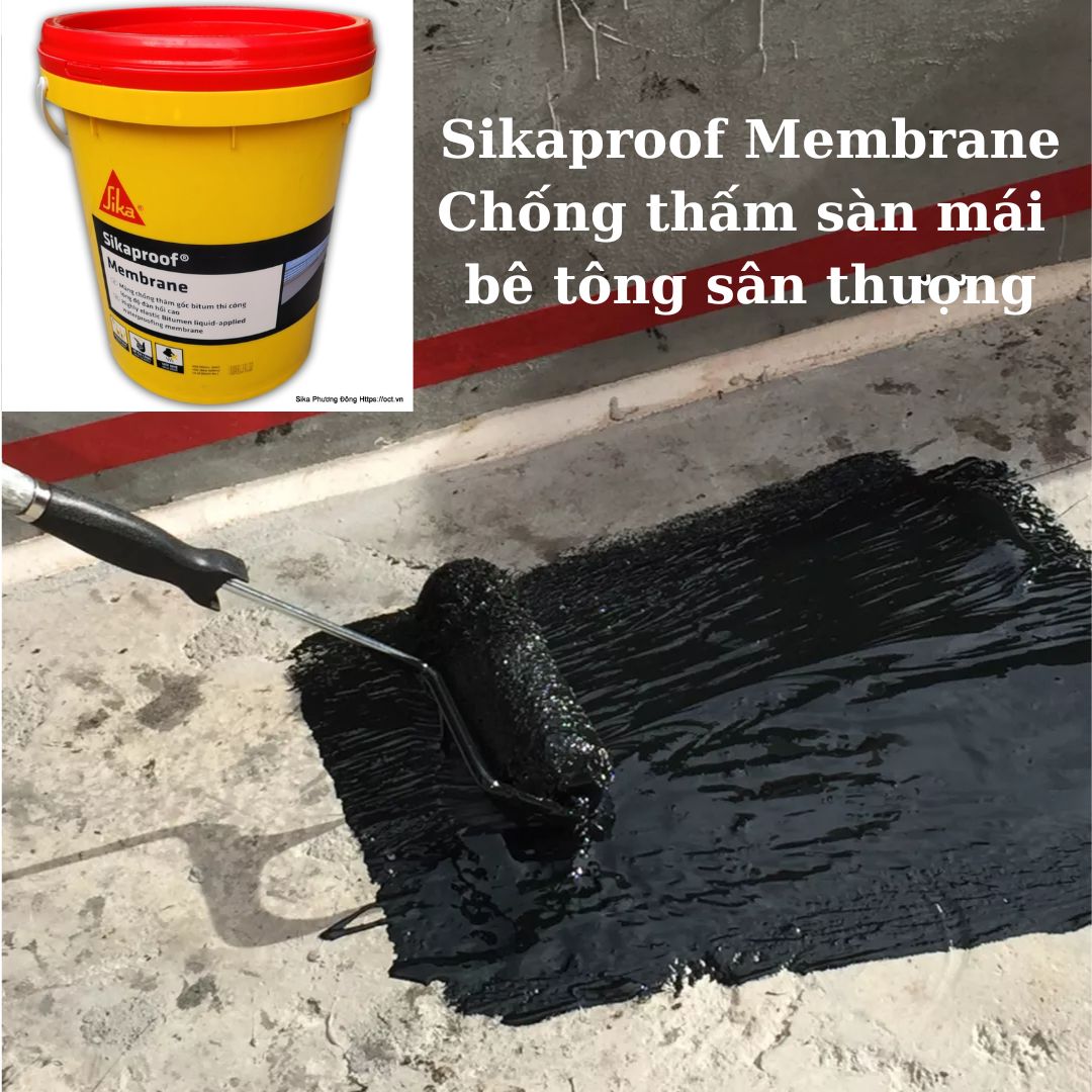 Sikaproof Membrane chong tham san mai